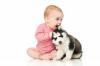 Hund und Baby: die Regeln der gegenseitigen Anpassung