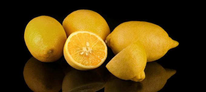 Lemon - Zitrone