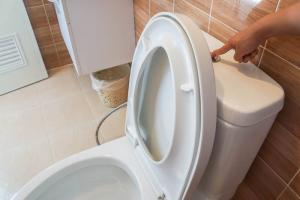 Warum gießen Geschirrspülmittel in die Toilette?
