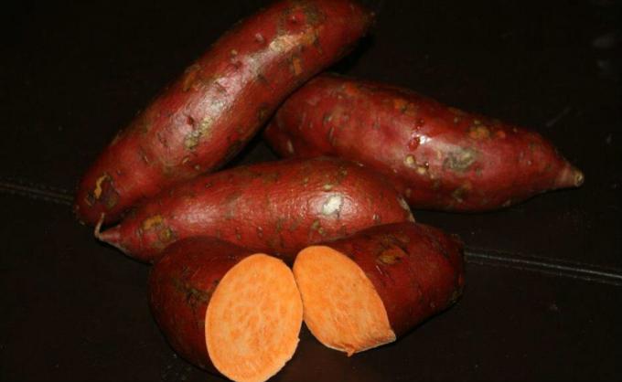 Süßkartoffeln - Süßkartoffel