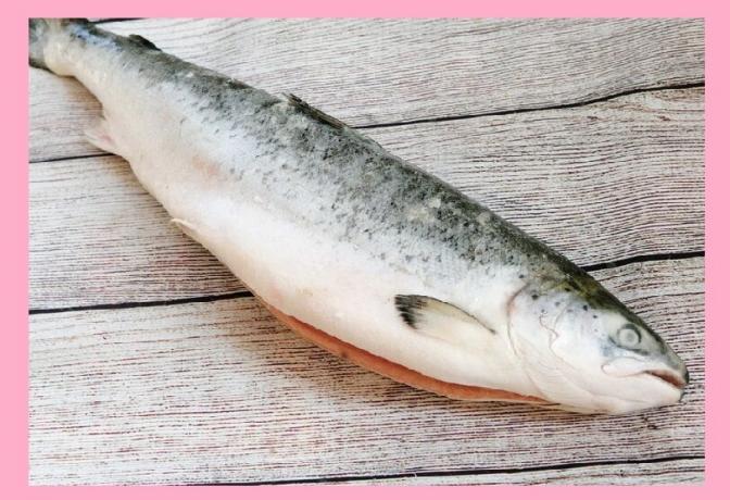Omega - 3 in Fisch (Lachs)