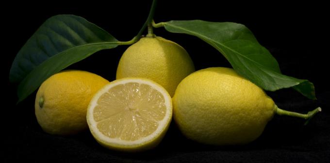 Lemon - Zitrone