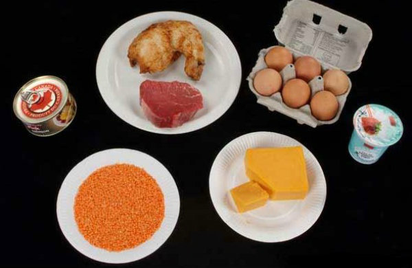 Protein-Lebensmittel - Protein-Lebensmittel
