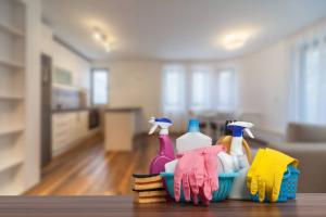 Sauberkeit in der Küche: die Top 5 bewährten Tipps für Hausfrauen