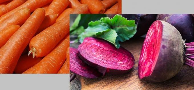 Karotten und Rüben