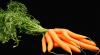 11 Eigenschaften der Karotte