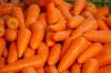 Beikost für Kinder: Wie man Karotten in Kindernahrung einführt