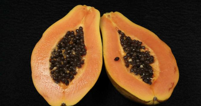 Papaya - Papaya