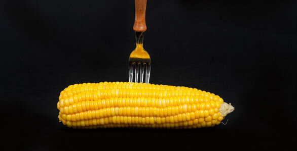 Corn - Mai