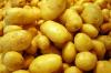 Leitfaden zur Auswahl von Kartoffel Roskachestva