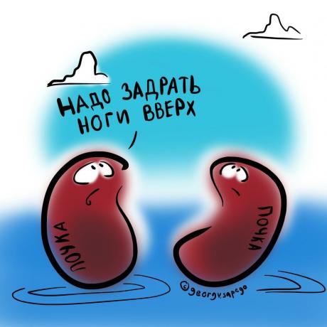 Kidneys inhaftierten Wasser