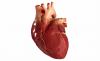 3 wichtigsten Faktoren, die Ursache Herzkrankheit