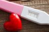 Fragen, die Sie Ihrem Arzt vor der Schwangerschaft stellen sollten: eine vollständige Liste
