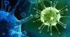 Viren: wie unser Körper kämpft gegen sie?