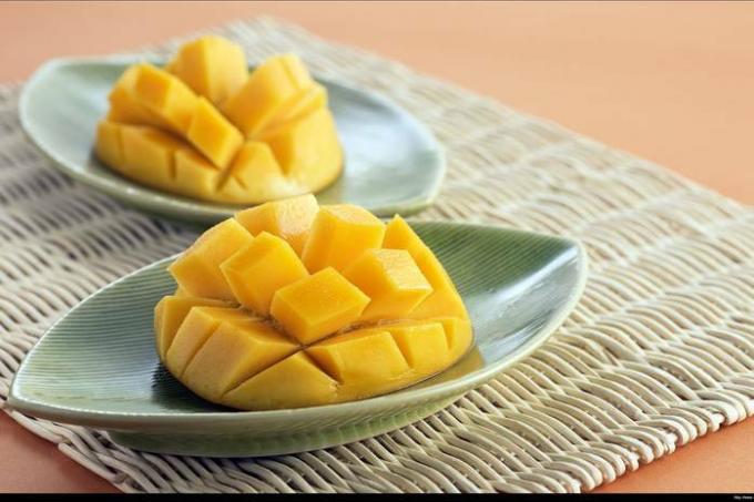Wie man Mango zu Hause anbaut: Schritt für Schritt Anleitung