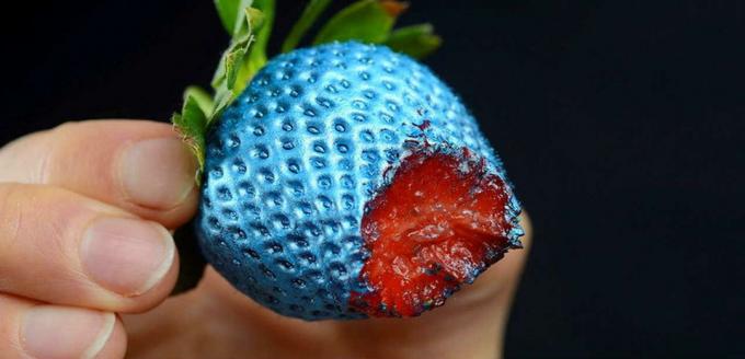 Erdbeeren - Erdbeere