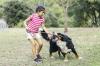 Was tun, wenn ein Kind von einem Hund gebissen wird: die Antwort eines Spezialisten für Infektionskrankheiten