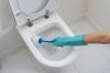 Meine Methode zur Reinigung der Toilettenschüssel aus Urinstein und Plaque