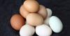 Ausgeräumt den Mythos der umstrittenen Schaden Eier