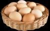 10 die Eigenschaften von Eiern. Der Mythos von ihrer Schädlichkeit