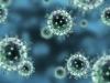 Influenza-Virus B (Colorado) im Jahr 2019 bis 2020: Vorsicht!