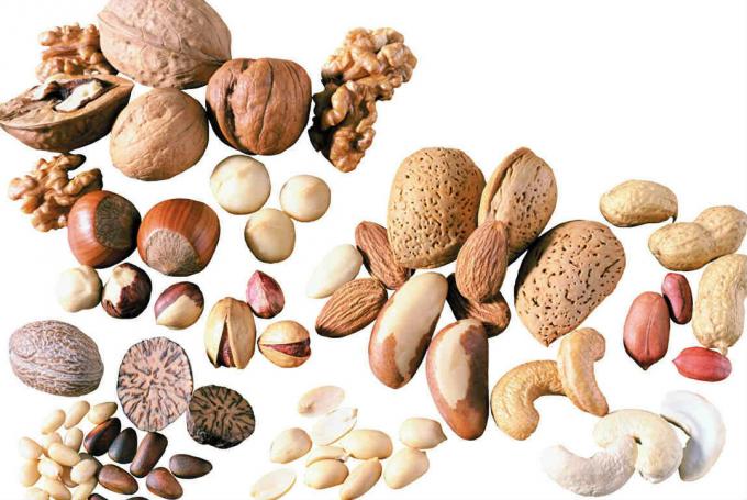 Samen und unbehandelte Nüsse