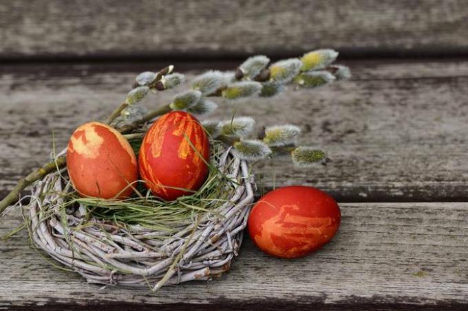 Wie man Wachteleier zu Ostern mit Essen färbt: bewährte Tipps