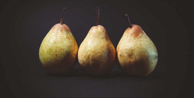 Pear - Birne