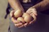 Alles, was Sie über Hühnereier wissen wollten: 5 wesentliche Fakten